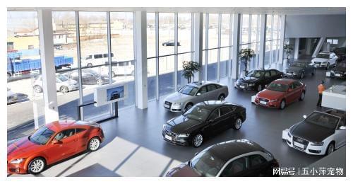 8200萬(wàn)汽車消費(fèi)券成功發(fā)放，汽車銷售行業(yè)或迎新爆發(fā)